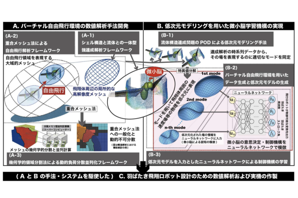 【個別戦略構築】飛翔生物の自由飛行仮想 (数値解析) 環境構築とバイオミメティクスへの展開